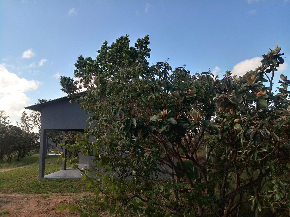 Chales Recanto Da Baleia Alto Paraiso de Goias Exterior photo